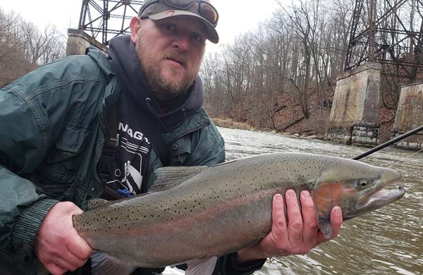 Ken Jackson steelhead