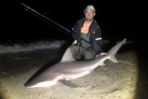 Product Review: Penn Spinfisher VI LiveLiner 8500