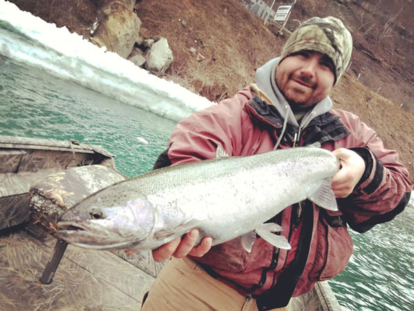 Nick Calandrelli steelhead