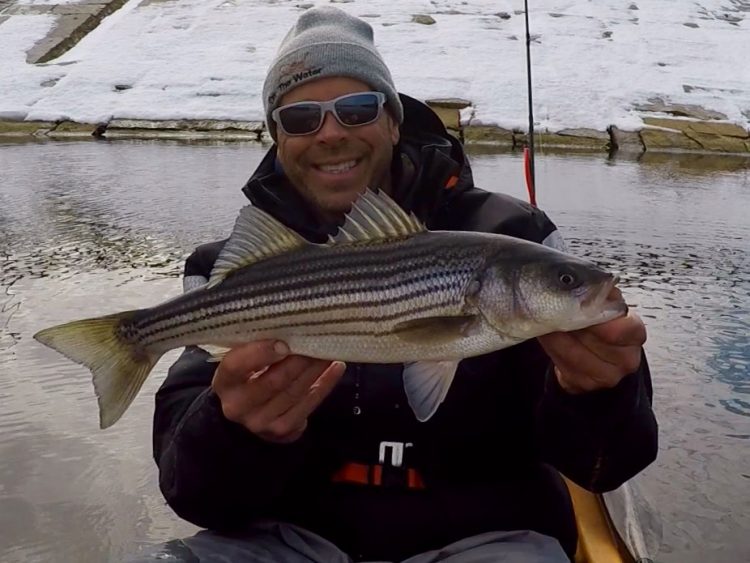 Ron Powers Boston holdover striper