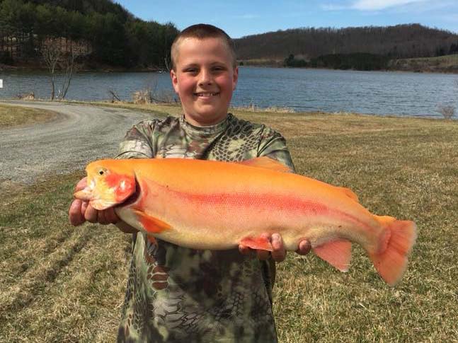 Pennsylvania Fishing Report – April 18, 2019 - On The Water