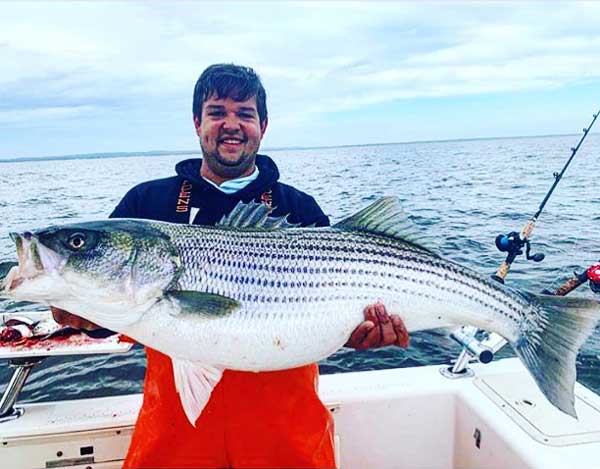 Raritan Bay striped bass