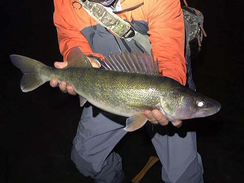 Patrick Barone of Charter The Berkshires walleye