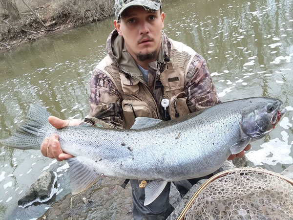Shawn West steelhead