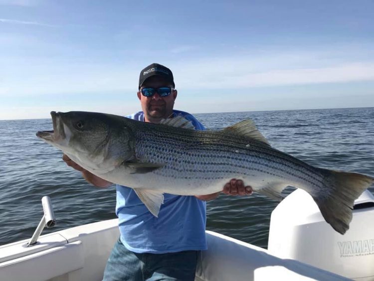 Southern New Jersey Fishing Report – May 23, 2019 - On The Water