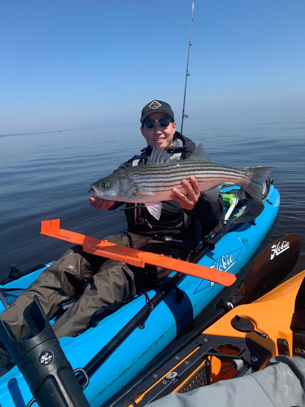 Striper Migration Map May 3, 2019 On The Water