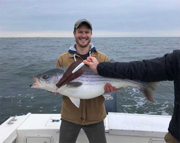 a great morning striped bass fishing