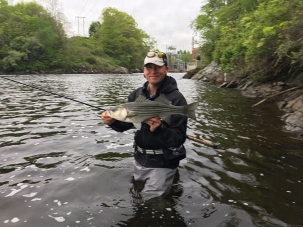 &ldquo;Coop&rdquo; with a nice Maine schoolie