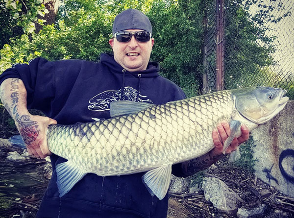 Rich Pisa grass carp