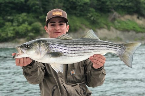 Striper Cup Week 7 Winners and Week 8 Prizes!