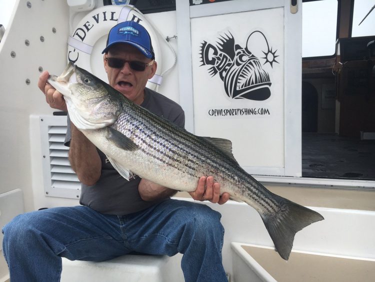 Louie's 80th birthday striper