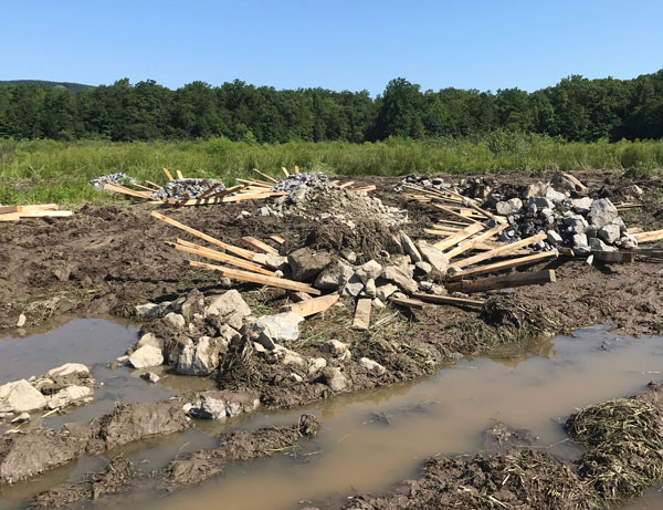 Minsi Lake fish habitat structure