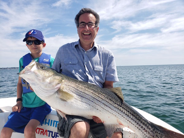 Boston striped bass
