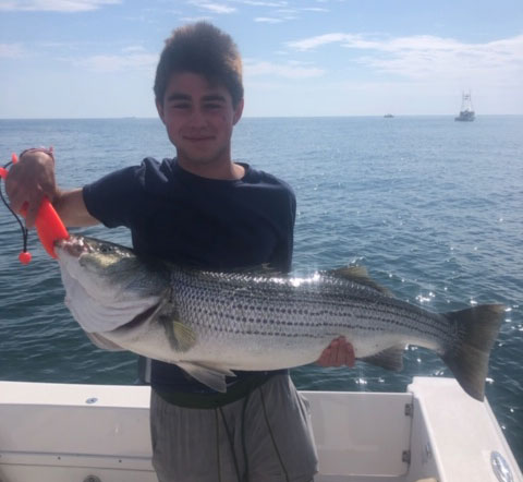 Jack Preston striped bass