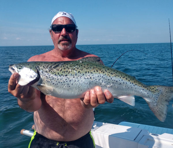 Pete Baio brown trout