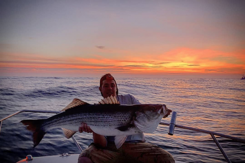 Striper Cup Week 12 Winners and Week 13 Prizes!