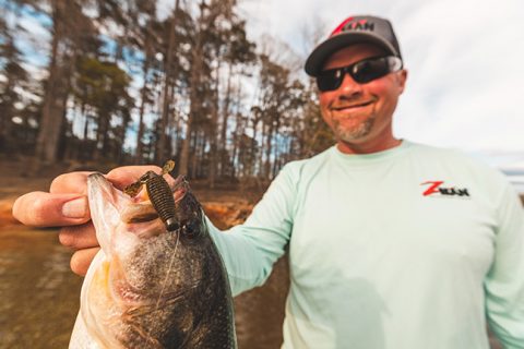 ICAST 2019: Z-MAN Shrunk the Creature Bait!