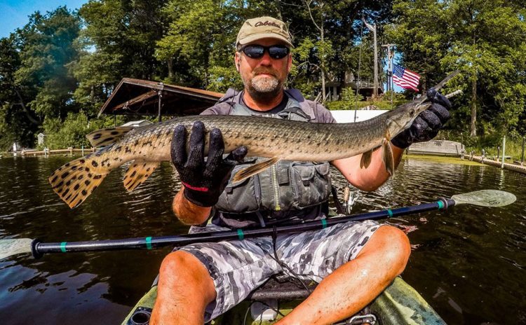 Joel Spring long nose gar