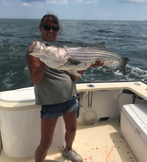 Plymouth striped bass 
