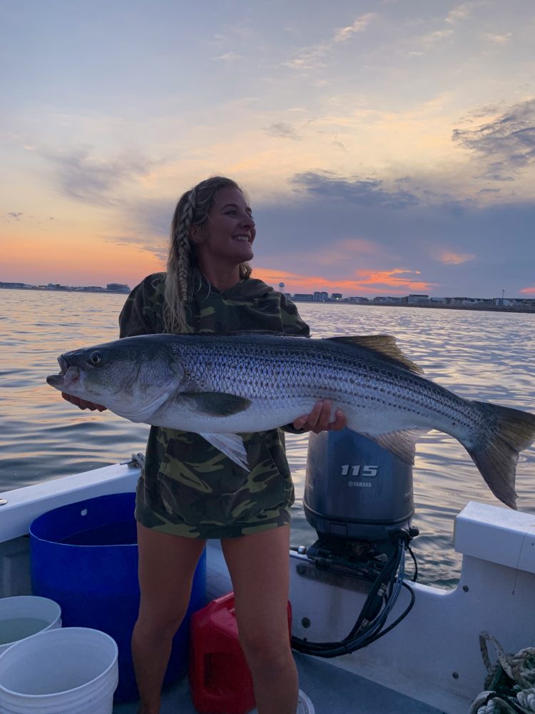 Sunset striped bass
