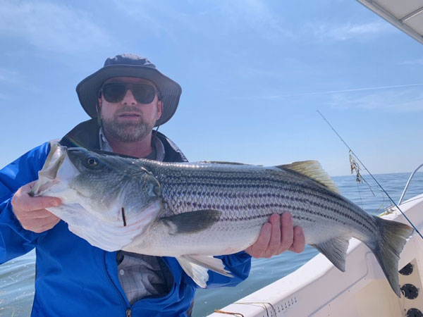 Fish Portland Maine striped bass