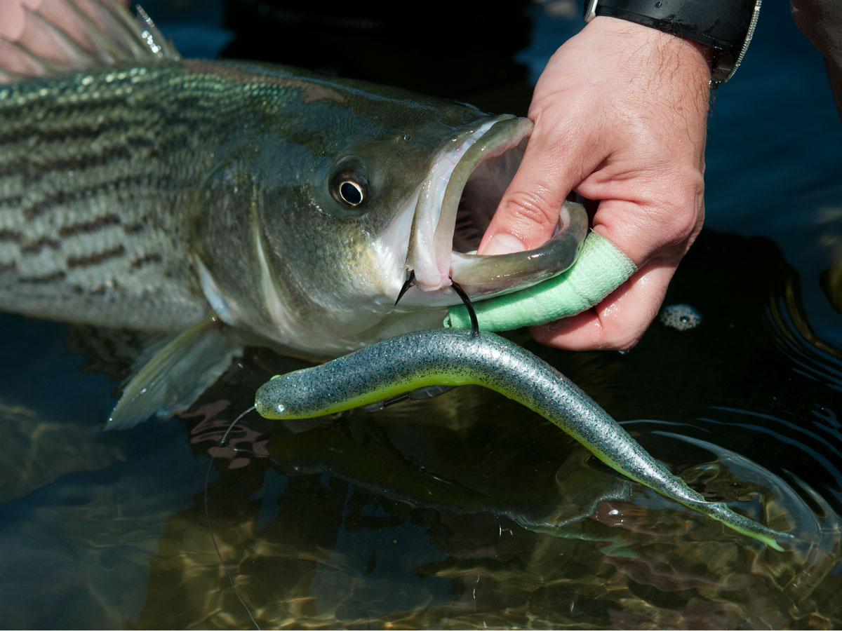Realistic Fishing Lures Soft Bionic Fishing Lures Striper Fishing