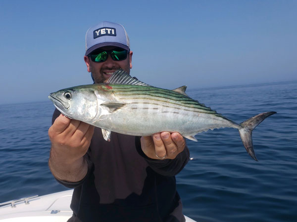 Diorio Guide Service bonito