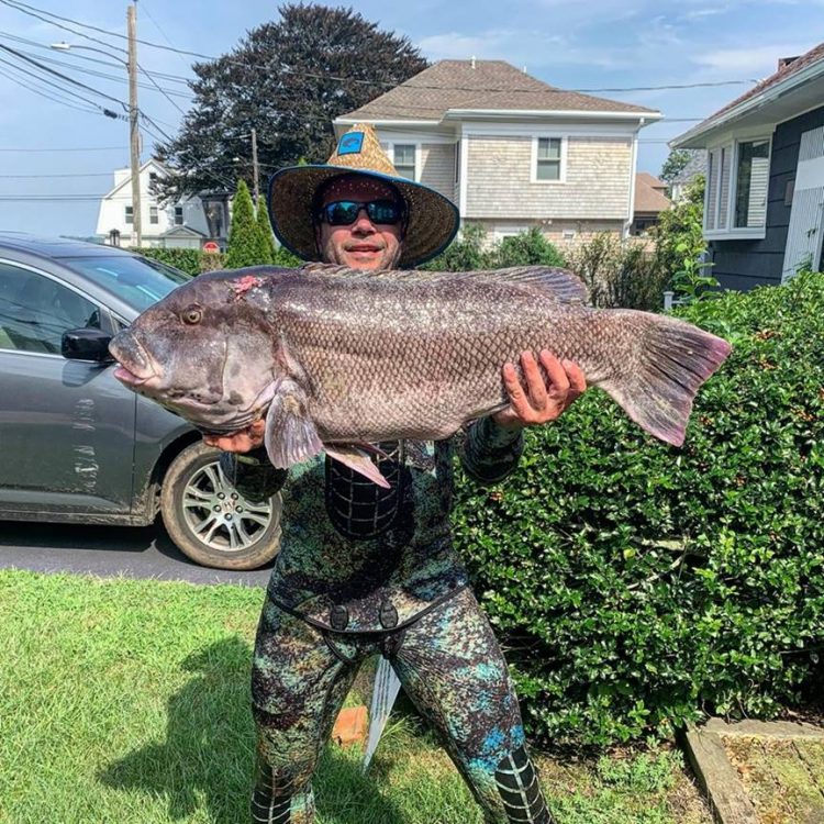 World Record Tautog