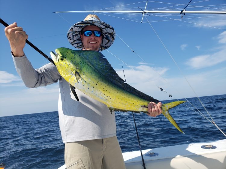 mahi mahi