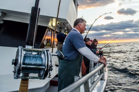 Canyons From Top To Bottom