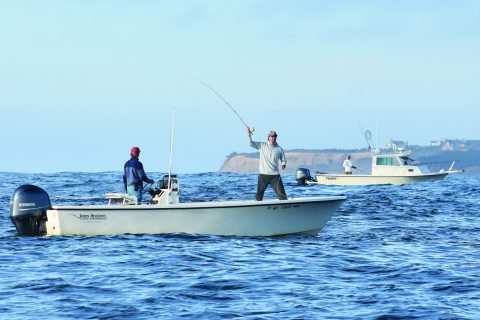 Fly Fishing the Montauk Fall Striper Run