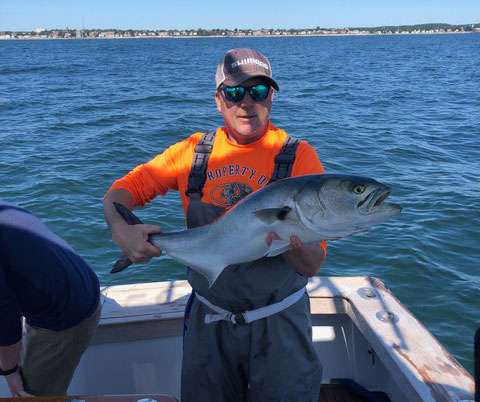 Dave Winnett bluefish