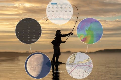 Developing A Fishing Plan