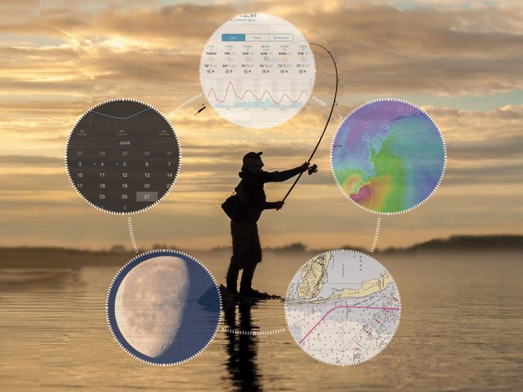 Developing A Fishing Plan