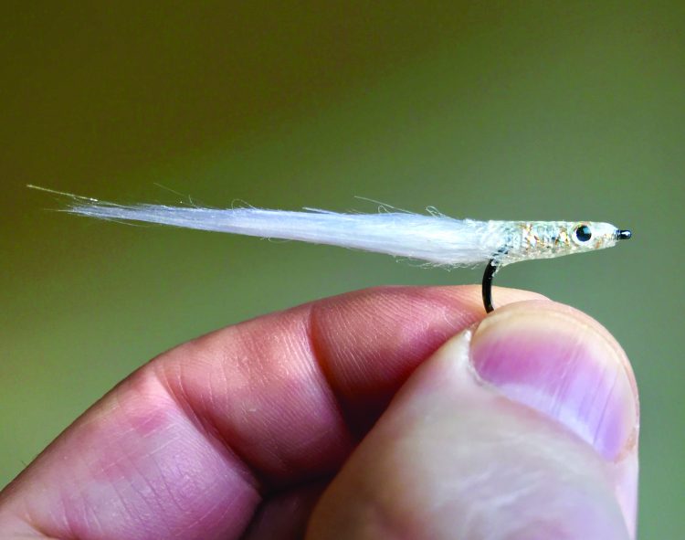 bay anchovy fly