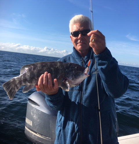 Little Sister tautog