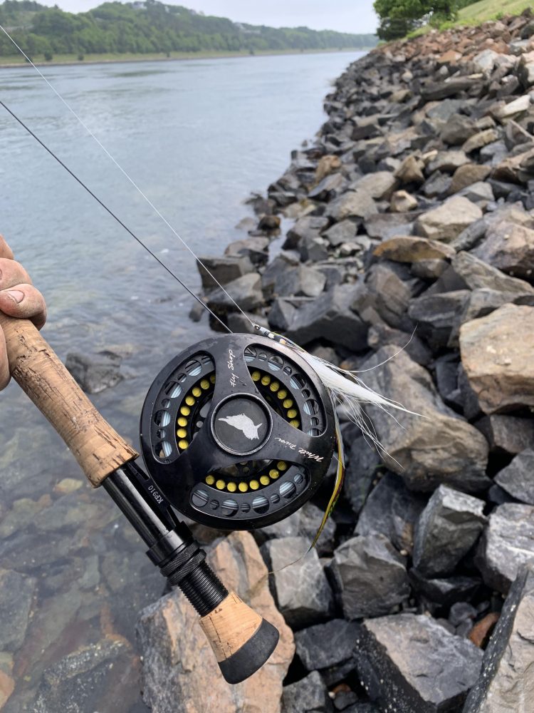 Fly Fishing the Cape Cod Canal - On The Water