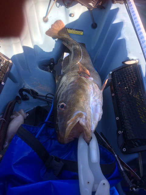 Billy “bass” Eiker cod