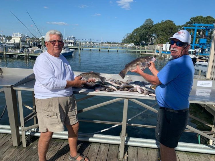 Porgie and blackfish