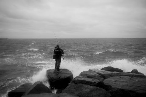 Fishing the Storm &ndash; Survey