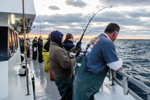 Last-light yellowfin on the line.
