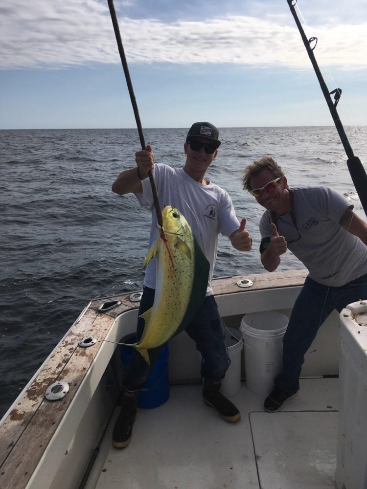 mahi mahi