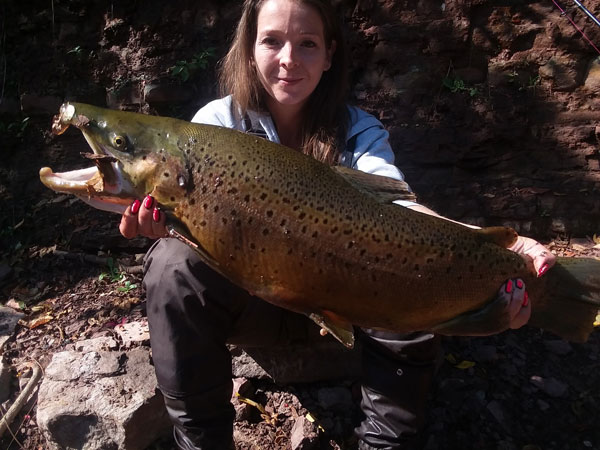 Buffy Frank brown trout 