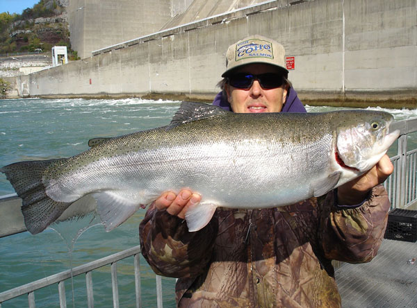 Mike Rzucidlo steelhead