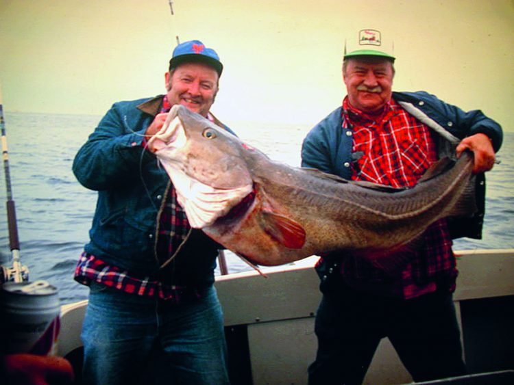 A 65-pound cod caught at Stellwagen Bank in the 70's.