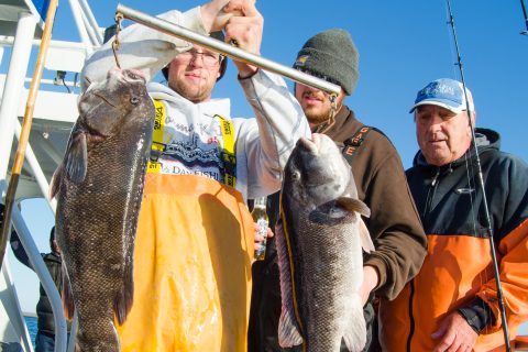 Cold Rails – Winter Headboat Options