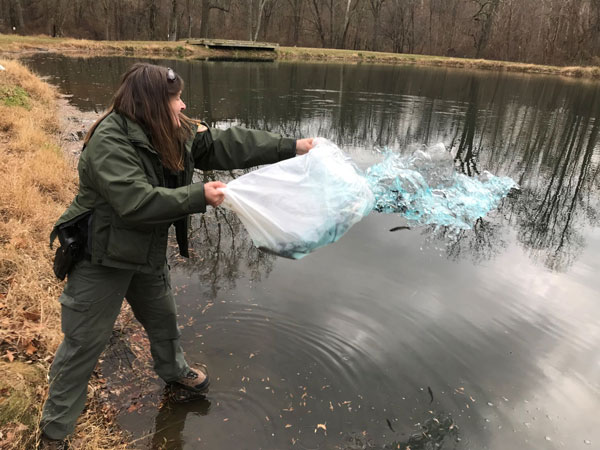 Hibernia County Park stocking