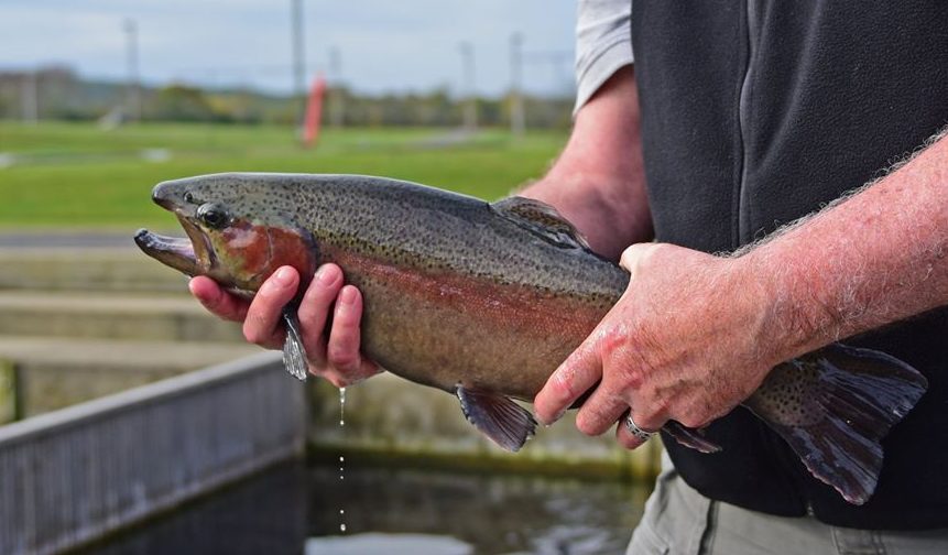 New Jersey Completes Winter Trout Stocking On The Water