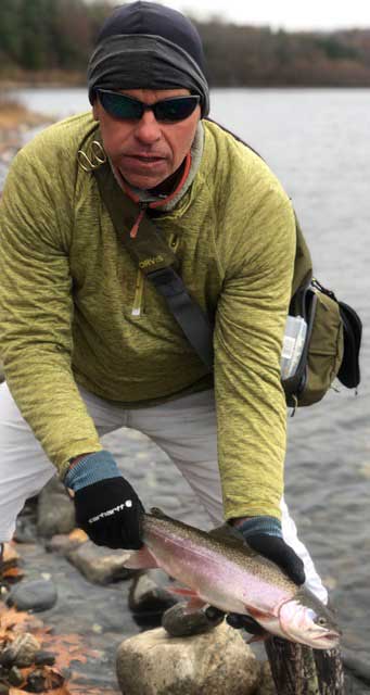 Rick Holebrook rainbow trout