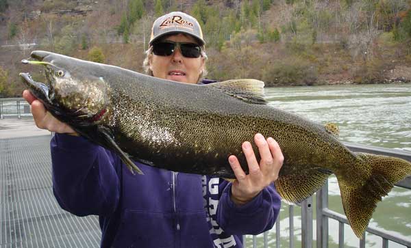 Mike Rzucidlo king salmon